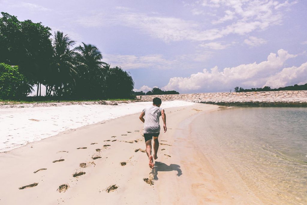 Pulau Peucang Taman Nasional Ujung Kulon, wisata 2022